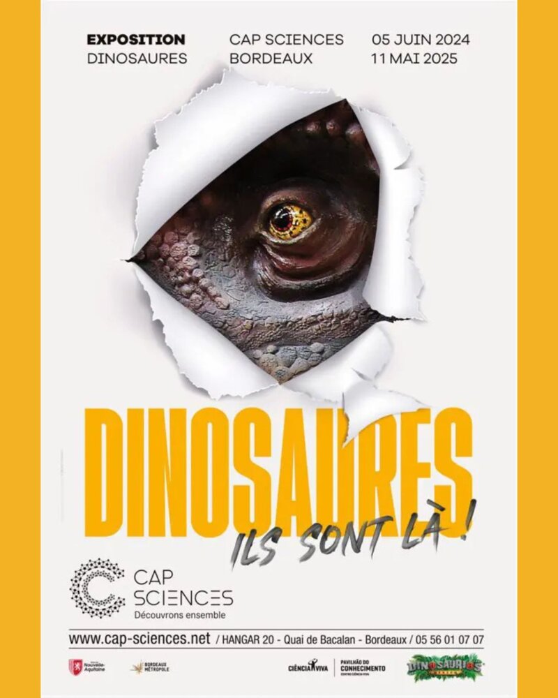 Dinosaures, ils sont là !